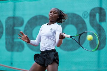 Noma Noha Akugue 248 - Klippeldon